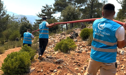 Ülkü Ocakları Orman Yangınlarına Karşı Seferber Oldu: Yeşil Vatana Sahip Çıkıyor