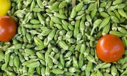 Bamya Suyu Mucizesi! Metabolizma Hızlanıyor