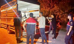 Yozgat’ta Şap Hastalığı Kurallarını Çiğneyen Besiciye 105 Bin TL Ceza!