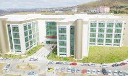 Yozgat'ta KKKA Alarmı: 2 Hastanın Tedavisi Sürüyor, Uzmanlardan Kene Uyarısı