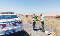Yozgat’ta Çobanlara Reflektif Yelek Desteği!