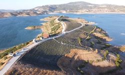 Yozgat’ta lavanta adasındaki evler kiraya verilecek!