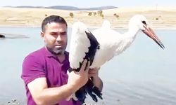 Yozgat’ta Yaralı Leylek 3 Ay Sonra Özgürlüğüne Kanat Çırptı