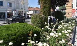 Yozgat’ta Refüj Değil, Açık Hava Sanat Galerisi! Bir bakan bir daha bakıyor