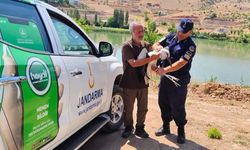 Yozgat’ta Yaralı Leyleğe Jandarma Şefkati!