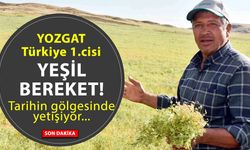 Yozgat Yeşil Mercimeği Türkiye'nin ağız tadı oldu! 2025 mercimek üretiminde rekor...