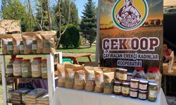Çayıralanlı Kadın Kooperatifi Avrupa’ya Açılmayı Hedefliyor