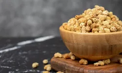 Dut Kurusu ve Dut Kurusu Suyunun Sağlığa Etkileri