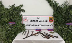 Yozgat’ta Kenevir Tarlasına Operasyon: Cephanelik Gibi Ev…