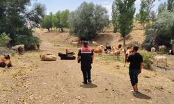 Yozgat Karanlıkdere’de Sessiz Tehlike: Jandarma ve HAYDİ Timi Harekete Geçti