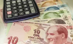 SED Destek Ödemeleri Hesaplara Yatırıldı