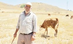 Yozgat’ta 40 Yıllık Çoban Sağlığının Sırrını Açıkladı!