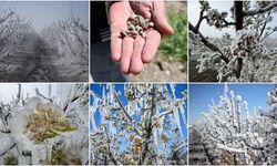 Yozgat için son dakika uyarısı geldi! Gece saatlerine dikkat!