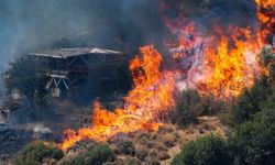 Son Dakika: Yozgat'ta Yangın Çıktı