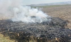 Yozgat Yerköy’de Anız Yaktı jandarmaya yakalandı