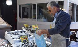 Karadeniz’de Yelkenler Fora: Yozgat’ta Balıklar Tezgahta!