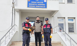 Yozgat'ta Jandarma'nın güvenli kollarında bu kez bir kartal var!