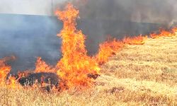 Yozgat Saraykent’te Anız Yakan Şahsa Ceza!
