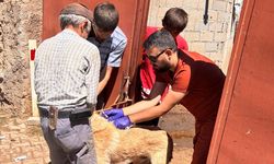 Yozgat’ta Kayıt Ettirmeyen Yandı! 8.306 TL Ceza Kapıda