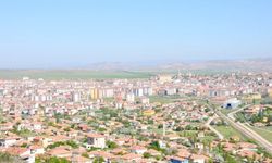 Yerköy’de Köpeğe Şiddet Uygulayan Kişi Gözaltında!