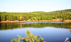 Yozgat’ta Çevre Seferberliği: Çamlık Milli Parkı İçin Sıfır Atık Çağrısı