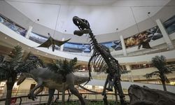 Ankara’da Aileler İçin Ara Tatil Rotası: Müzeden Doğaya 20 Seçenek