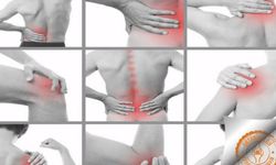 Bel, Boyun ve Baş Ağrısı Çeken Yozgatlılar Uzmanlara Kulak Versin