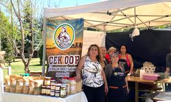 Çayıralan’ın Çıtır Kabak tatlısını denediniz mi? İşte size Yozgat’tan farklı lezzet