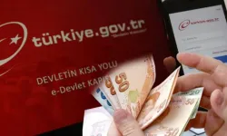 E-Devlet Üzerinden Meslek Kodu Uyarısı: Küçük Bir Hata Emekliliği Geciktirebilir