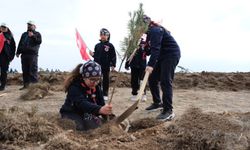 Yozgat’ta 3 Milyon 300 Bin Fidan Toprakla Buluştu