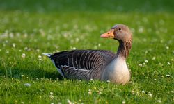 Yozgat’ta İşi Olmayanlara İş Kurduran Kurs! Üniversite Duyurdu…