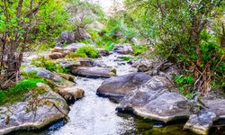 Yozgat’ta Macera Tutkunlarının Yeni Rotası: Kazankaya Kanyonu