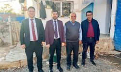 Şefaatli’de Ulu Çınarları Hatırlayanlar Var!