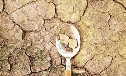 TEMA Vakfı Duyurdu: Her 16 Yılda 1 Santimetre Toprak Kayboluyor