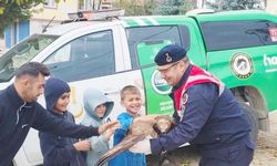 Yozgat’ta yaralı kızıl şahine şefkat eli!