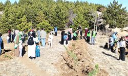 Yozgat İHH’den Dünya Çocuk Hakları Günü Etkinliği: Çocuklarla Fidan Dikildi ve Balonlar Uçuruldu