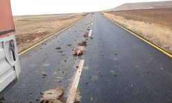 Yozgat Yenifakılı’dan Yansıyan Görüntüler Endişeyi Artırdı