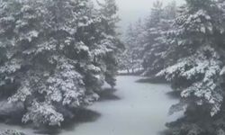 Akdağmadeni Ormanları Beyaza Büründü: Ortaya Kartpostallık Görüntüler Çıktı