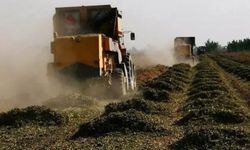 Çiftçinin Hesabına 1 Milyar TL Yattı! Aralık Ayı Destek Ödemeleri Başladı