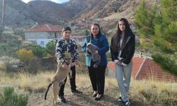 Aydıncık’ın Tek Kadın Muhtarı Köyünü Baştan Sona Yeniliyor!