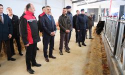 Kırsalda Bereket Projesi Yozgat’ta meyvelerini veriyor