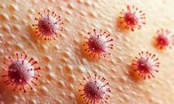 Candida Mantarı Bağışıklığı Zorluyor: Vücutta Sessizce Yayılıyor