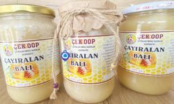 Çayıralan Balı Hem Sağlık Hem Ekonomi Kaynağı Oluyor