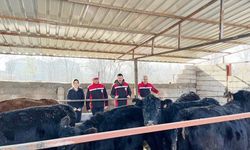 Kırsalda Bereket Projesi Yozgat’ta devam ediyor