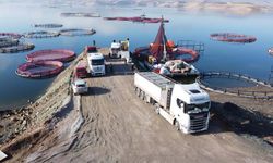 Yozgat’ta Başladı, Japonya’ya Ulaştı: Bozkırda Üretim Devam Ediyor!