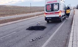 Son dakika! Yozgat'ta otomobilin çarptığı yaya hayatını kaybetti