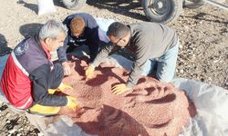 Yozgat’ta kuraklığa karşı yeni bir yöntem denenmeye başladı!