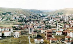 Yatırımcıların Dikkatine: Yozgat Şefaatli’de Satılık Tarla!