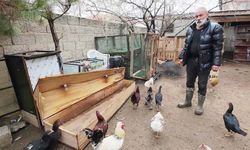 İstanbul’dan Yozgat’a Geri Dönüşüm Hikayesi: Tabuttan Civciv Ana Kucağı Yaptı!