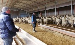 Yozgat’ta babasıyla tartıştı bakın sonra ne oldu?